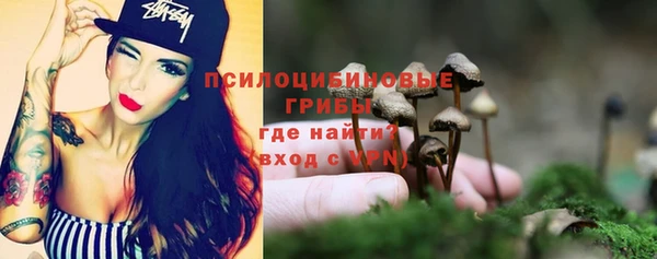 тгк Алексеевка