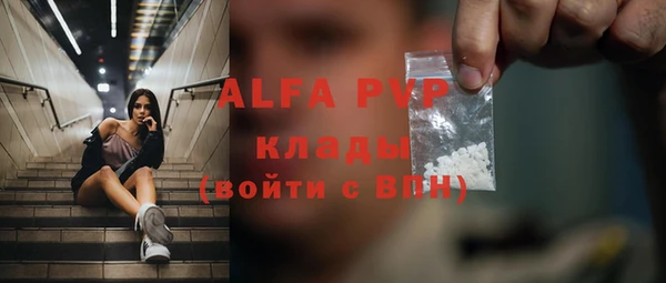 ПСИЛОЦИБИНОВЫЕ ГРИБЫ Заволжье