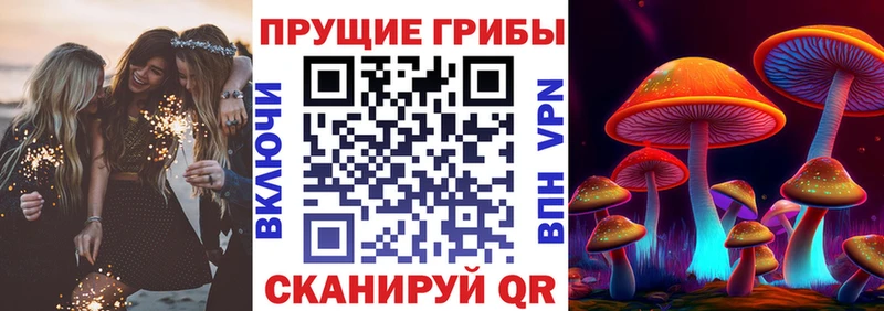 где продают наркотики  Гаджиево  mega вход  Псилоцибиновые грибы Magic Shrooms 