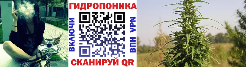 МАРИХУАНА план Гаджиево